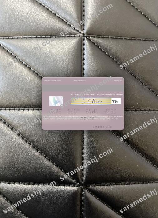 United Arab Emirates Emirates Investment Bank visa debit card photolook back